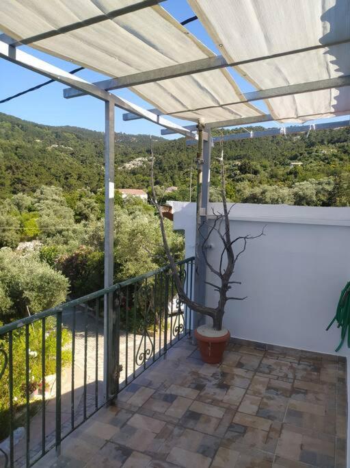 Sergi Home Raches  Dış mekan fotoğraf