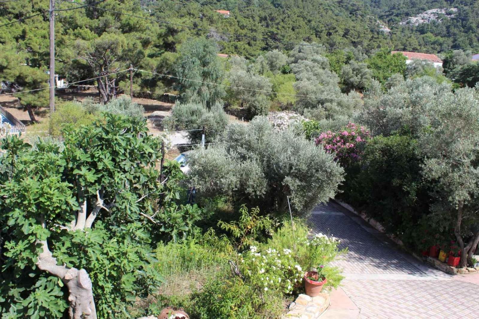 Sergi Home Raches  Dış mekan fotoğraf